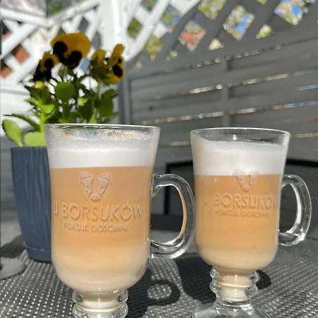 Homestay U Borsukow Pobierowo