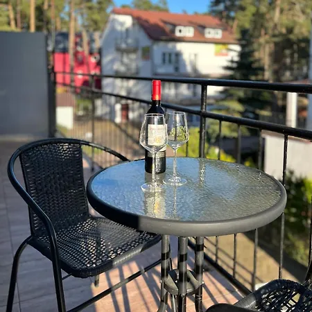 U Borsukow Rum i privatbostad *
