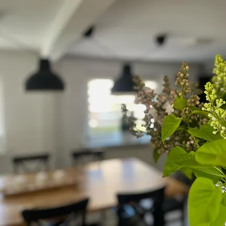 Rum i privatbostad U Borsukow *