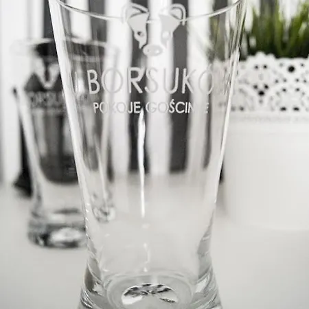 U Borsukow Habitación en casa particular