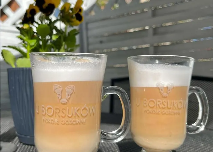 民宿 U Borsukow 波别罗沃